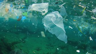 Plastikteile in Meerwasser