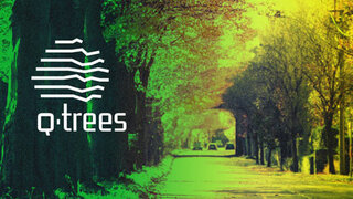 Foto einer Allee, darauf steht der Text "Q-trees"