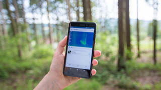 Eine Hand hält ein Smartphone, auf dem Display ist die BirNET App zu sehen. Im Hintergrund ein helles Waldstück.