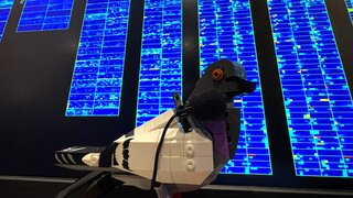 Ein Vogel aus Legosteinen sitzt vor einem großen blauen Computer-Bildschirm