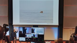 Auf einer großen Leinwand in einem Hörsaal ist ein Meer zu sehen, aus dem etwas Braunes herausragt. Davor steht eine Person und erläutert das Bild, mehrere Monitore zeigen die Aufzeichnung des Vortrages.